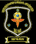 Maamba Energy Stars Logo