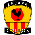 ซากาปา Logo