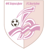 Borisfen Logo