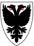 AFC Wimbledon Women Logo