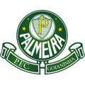 Palmeira FC RN Youth Logo