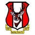 Buckley Town Logo