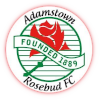 Adamstown Rosebud Reserves Logo