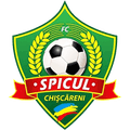 Spicul Chiscareni Logo