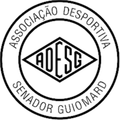 Runner up logo