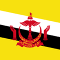 Brunei Futsal Logo