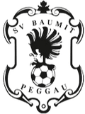 SV Baumit Peggau Logo