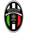 Toulouse Metropole Logo