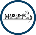 Marconi Stallions Logo