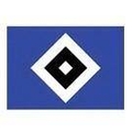 Hamburger Youth Logo