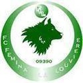FC Femina (w) Logo