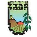 Hapoel Migdal HaEmek Logo