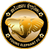 Young Elephant Logo