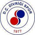Demir Celik Divrigispor Logo