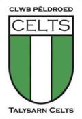 Talysarn Celts Logo