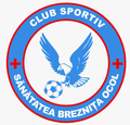 Sanatatea Breznita Ocol Logo