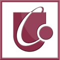 แคนเทอร์เบอรี ซิตี้ Logo