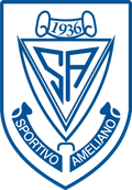 Sportivo Ameliano Reserves Logo