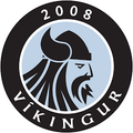 Vikingur Gota II Logo