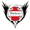 Llamas Kochi FC Logo