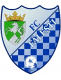 Falesti Logo