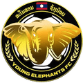 Young Elephants (W) Logo