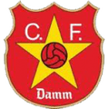 CF Damm Youth Logo