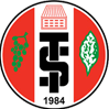 Turgutluspor U19 Logo