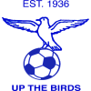 Runner up logo