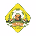 Sibiryak Bratsk Indoor Soccer Logo