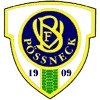 VfB Possneck Logo