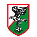 Sokol Kleczew Logo