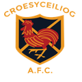 Croesceiliog Logo