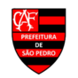Flamengo Sao Pedro U20 (W) Logo
