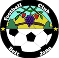 Beit Jann Logo