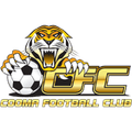 Runner up logo