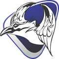 CD FC Cuervos Blancos Logo