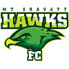 Mount Gravatt Hawks SC (R) Logo