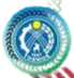 Burana Tokmok Logo