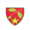 Mostistea Ulmu Logo