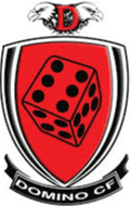 Domino Logo