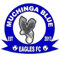 Muchinga Blue Eagles Logo