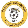 Cessnock City Hornets Reserves Logo