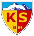 Kayseri Genclerbirligi (w) Logo