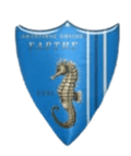 AO Sartis Logo