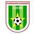 Fundacion Cesarger Logo