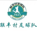 Lianfeng Village FC Logo