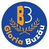 Gloria Buzau U19 Logo