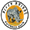 Black Rhinos FC Logo