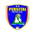 Dulamayo FC Logo